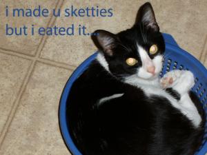 In ur strainer eatin ur pastaz